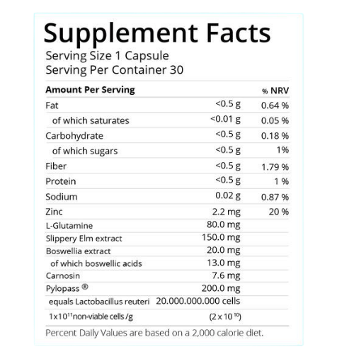 Zenvra™ Magenvital Pylori Probiotics