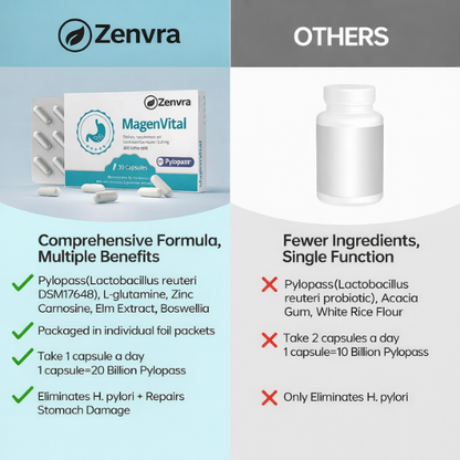 Zenvra™ Magenvital Pylori Probiotics